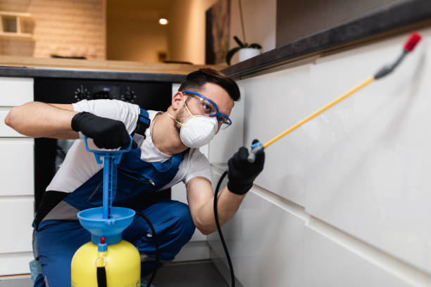 Best Pest Inspection Near Me  in New Lexington, OH