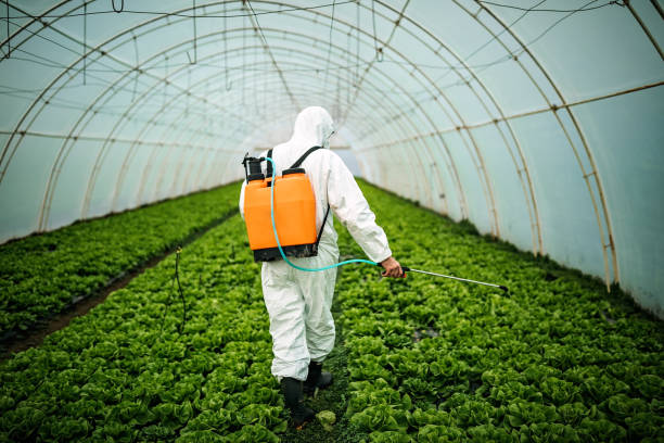 Best Pest Removal Services  in New Lexington, OH
