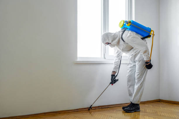 Best Cockroach Control Services  in New Lexington, OH