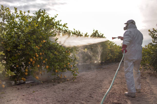 Best Commercial Pest Control Services  in New Lexington, OH