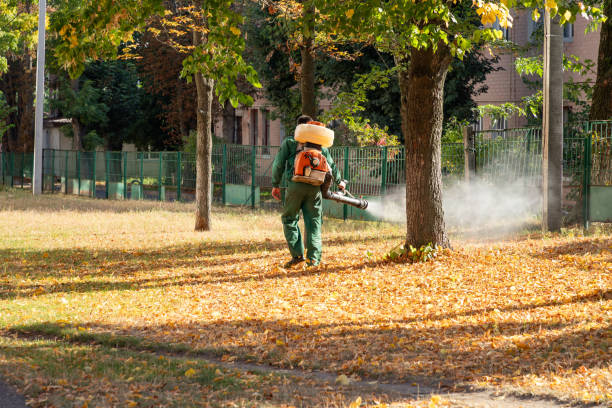 Best Best Pest Control Companies  in New Lexington, OH