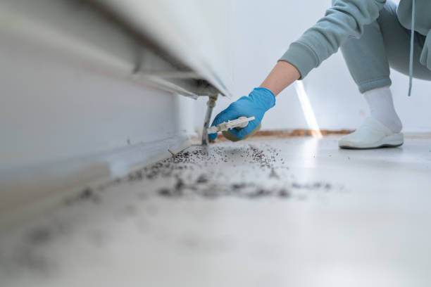 Trusted New Lexington, OH Pest Control Experts