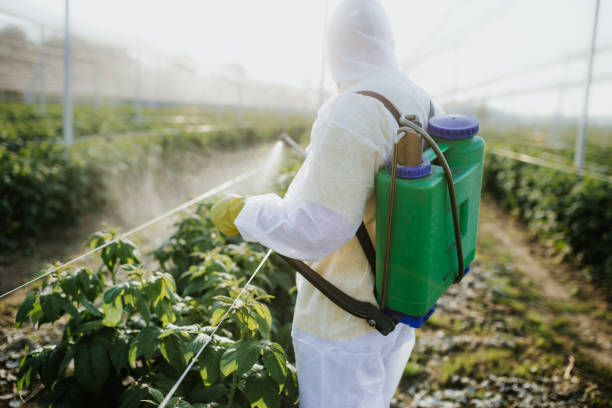 Pest Prevention Services in New Lexington, OH